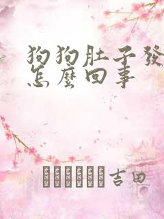 狗狗肚子发硬是怎么回事