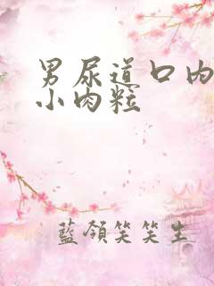 男尿道口内侧长小肉粒