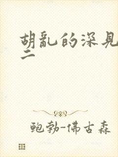 胡乱的深见君第二