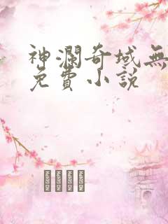神澜奇域无双珠免费小说