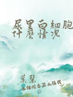 尿里白细胞高是什么情况