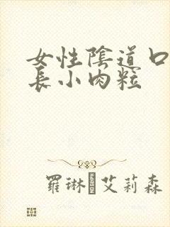 女性阴道口下边长小肉粒