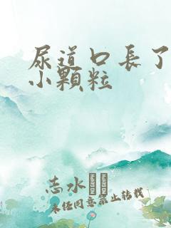 尿道口长了几个小颗粒