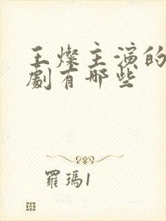 王灿主演的电视剧有哪些