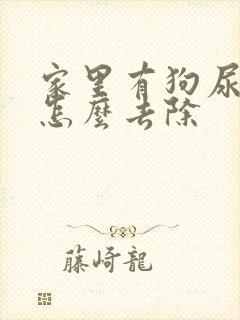 家里有狗尿味道怎么去除