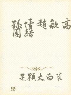 孙倩赵敏高义大团结