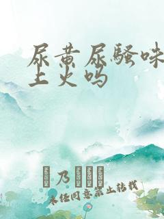 尿黄尿骚味重是上火吗