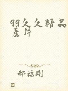 99久久精品国产片