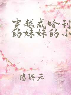 穿越成哈利波特的妹妹的小说推荐