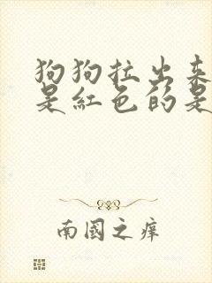 狗狗拉出来的尿是红色的是什么原因