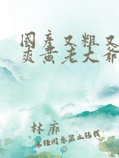 国产又粗又猛又爽黄老大爷视频