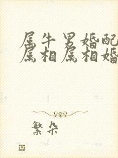 属牛男婚配最佳属相属相婚配表