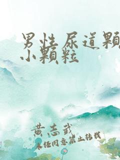 男性尿道颗粒有小颗粒