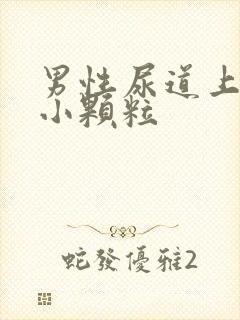 男性尿道上长了小颗粒