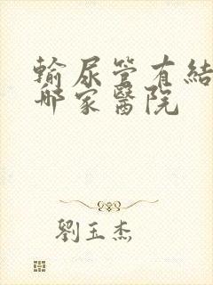 输尿管有结石去哪家医院