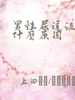 男性尿道流血是什么原因