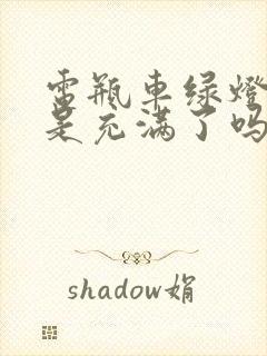 电瓶车绿灯亮了是充满了吗