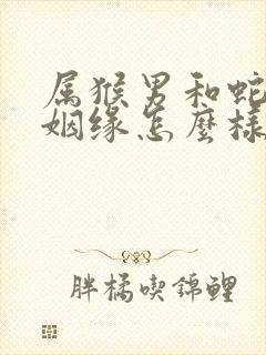 属猴男和蛇女的姻缘怎么样