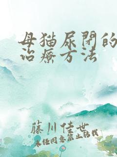 母猫尿闭的快速治疗方法