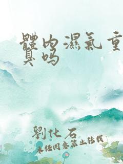 体内湿气重会口臭吗