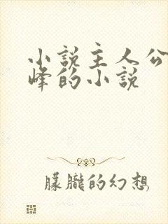 小说主人公叫林峰的小说