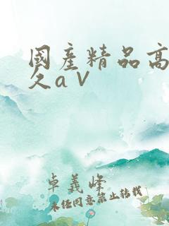 国产精品高潮久久a∨