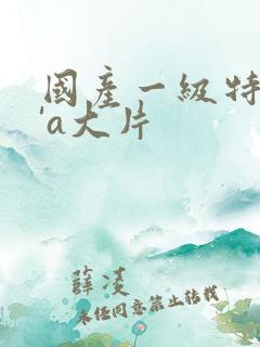 国产一级特黄a'a大片