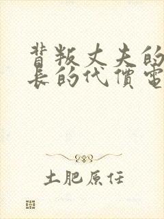 背叛丈夫的女社长的代价电影