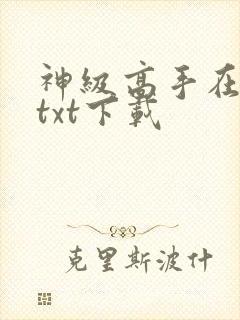 神级高手在都市txt下载