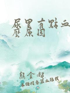 尿里有点血是什么原因