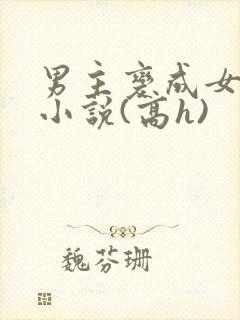 男主变成女生的小说(高h)