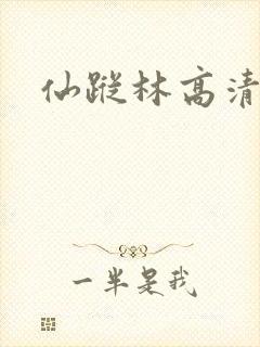仙踪林高清
