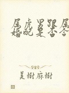 属虎男跟属龙女婚配是否合适