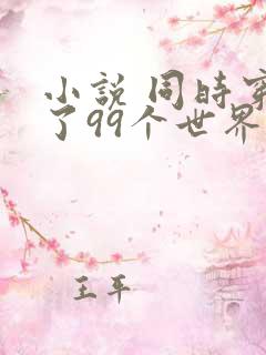 小说 同时穿越了99个世界