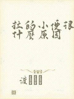 拉的小便很臭是什么原因