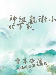 神级龙卫小说txt下载