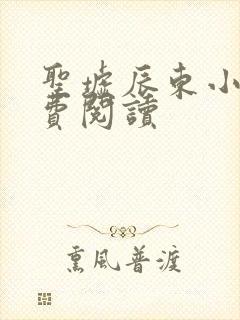 圣墟辰东小说免费阅读