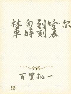 林甸到哈尔滨客车时刻表