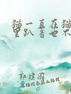 猫一直在猫砂盆里趴着也不尿