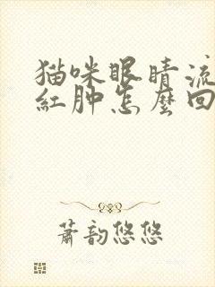 猫咪眼睛流眼泪红肿怎么回事