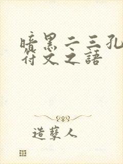 暗黑二三孔武器符文之语