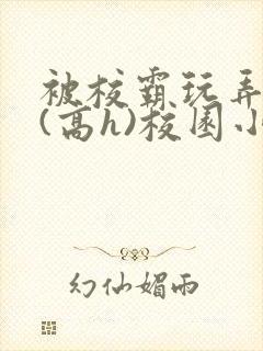 被校霸玩弄奶头(高h)校园小说