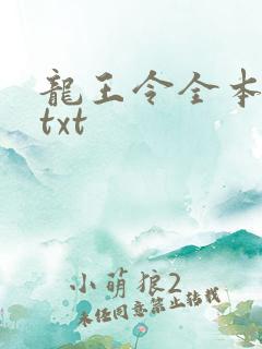 龙王令全本下载txt