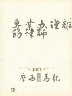 专业办理离婚案的律师