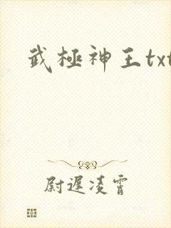 武极神王txt