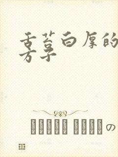 舌苔白厚的中药方子