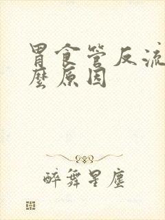 胃食管反流是什么原因