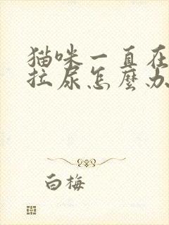 猫咪一直在床上拉尿怎么办