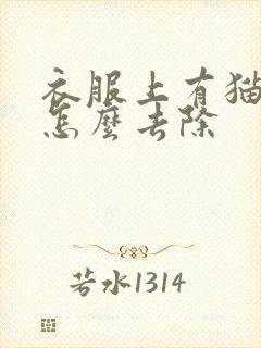 衣服上有猫尿味怎么去除