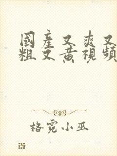 国产又爽又猛又粗又黄视频